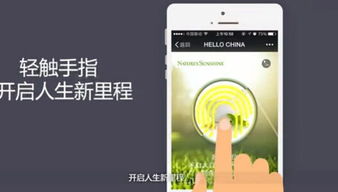 自然阳光 品牌、产品、服务三线并行，以互联网销售夯实中国市场